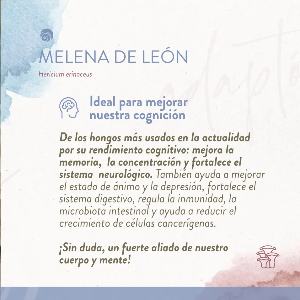 PMV_RedesSociales_1b.webp