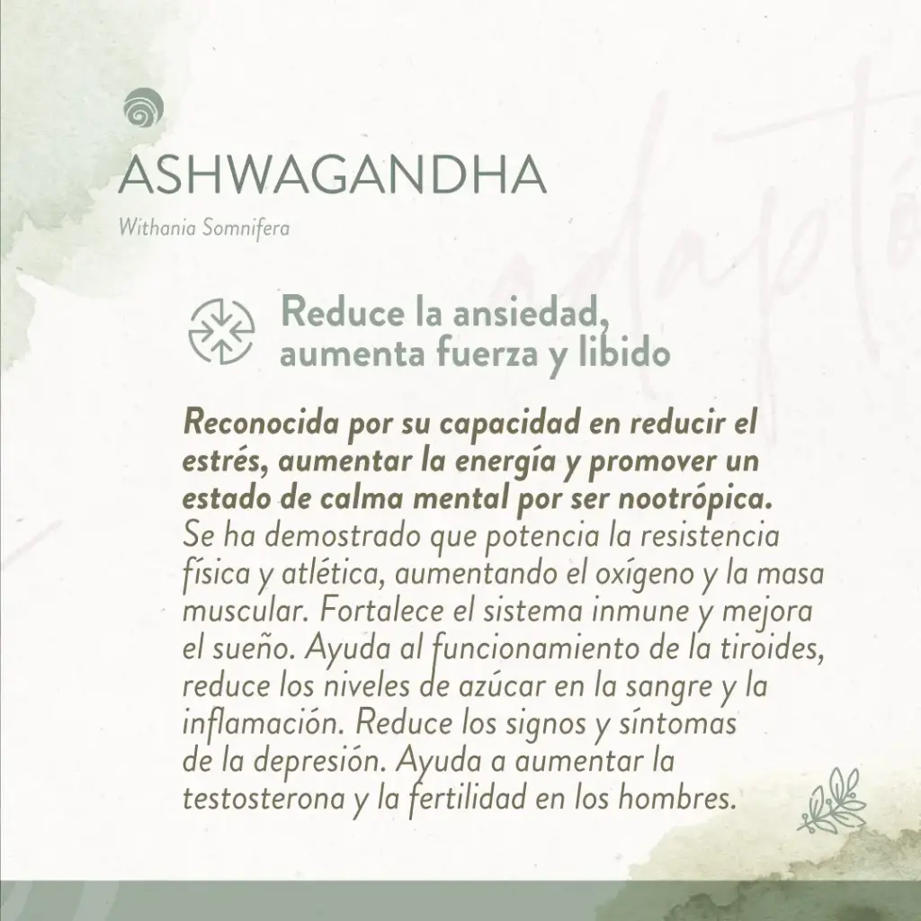 PMV_RedesSociales_1_superalimentos_1b.webp