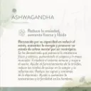 PMV_RedesSociales_1_superalimentos_1b.webp